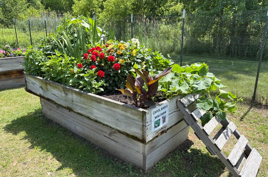 Brookview Meadows Exterior Garden 01 1