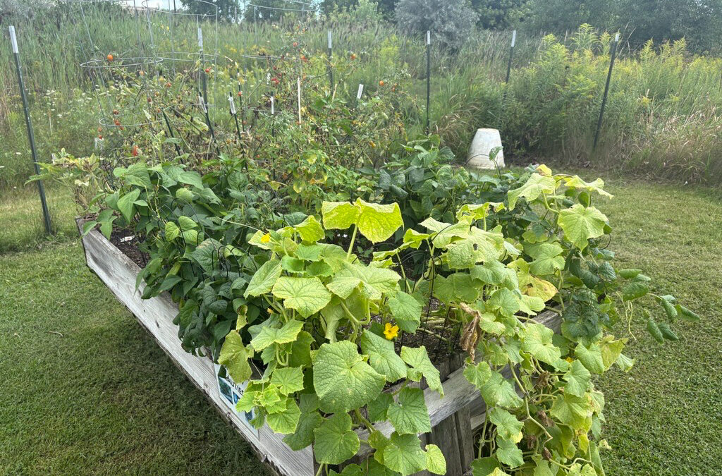 Brookview Meadows Exterior Garden 03