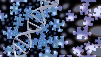 Human DNA for ancestral DNA kits