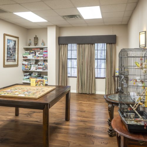 Activity room with a game table, a shelf filled with games, and a bird cage