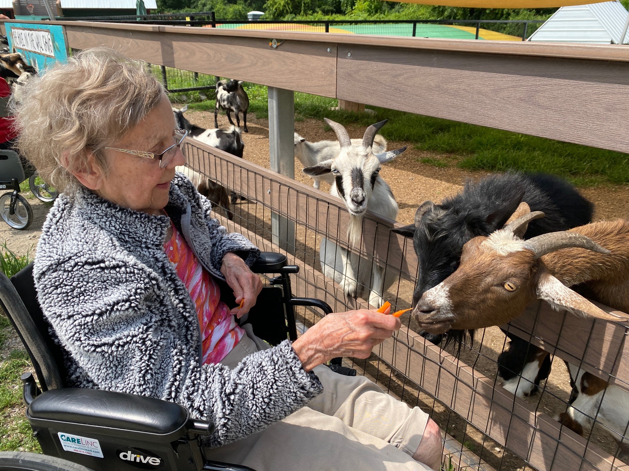Aspen Grove resident feeding goats at animal petting zoo