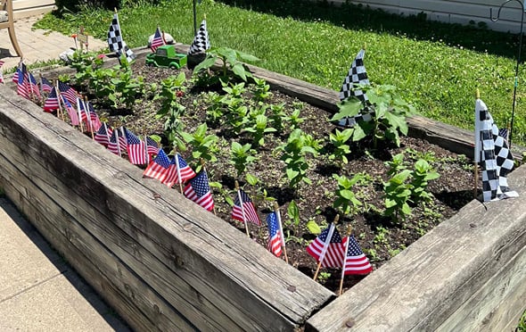 garden bed with plants and USA flags