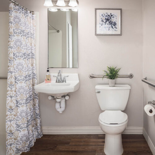 The Waterford on Cooper model apartment bathroom