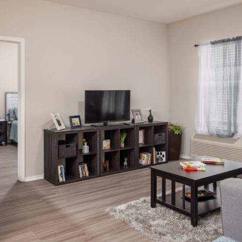 Apartment living room includes a TV, large TV stand, window and couch