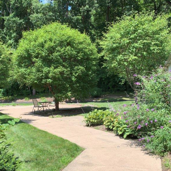 Beautiful walking path in a well-manicured courtyard with large trees in Lambertville, Michigan.