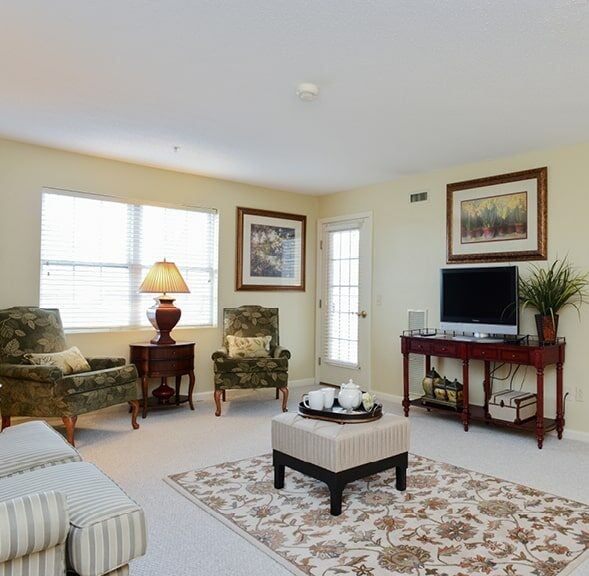 Model apartment featuring a spacious living room with large window and an open door leading to a bedroom in Springfield, Massachusetts.