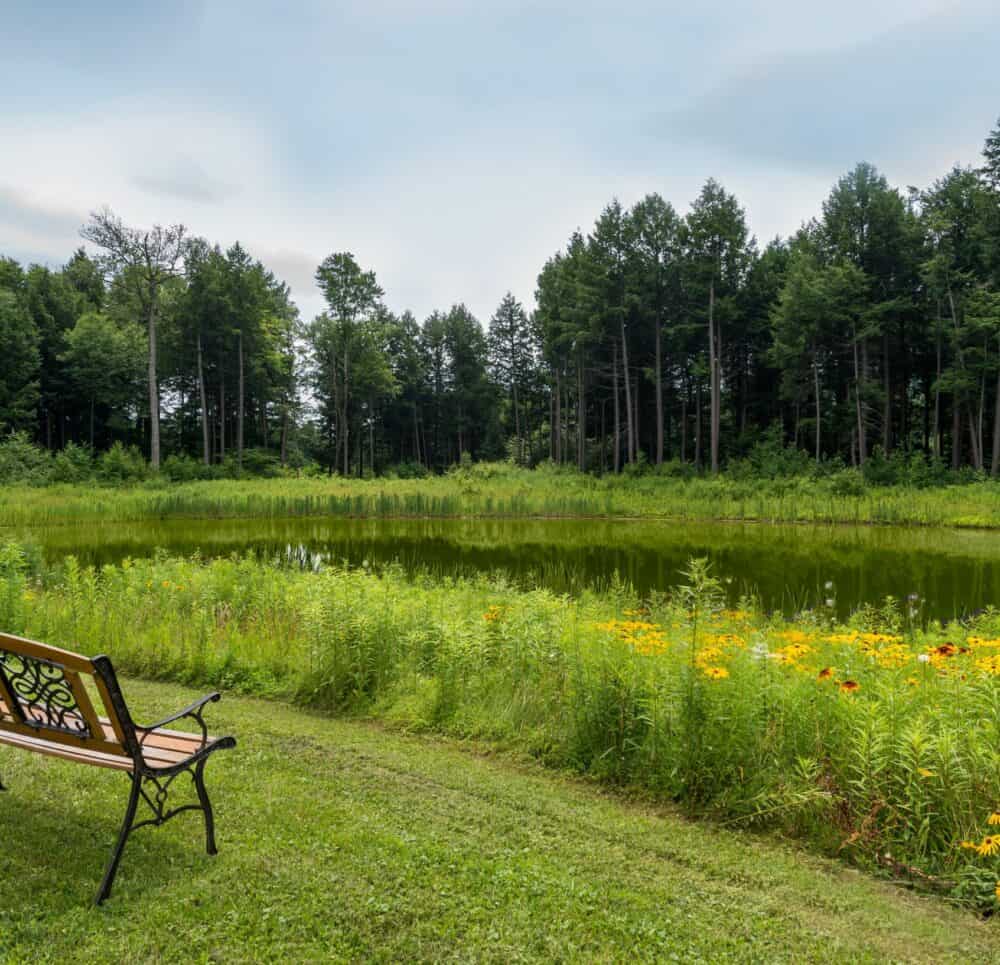 A bench overlooks a pond at a senior living community in Oneonta, New York.