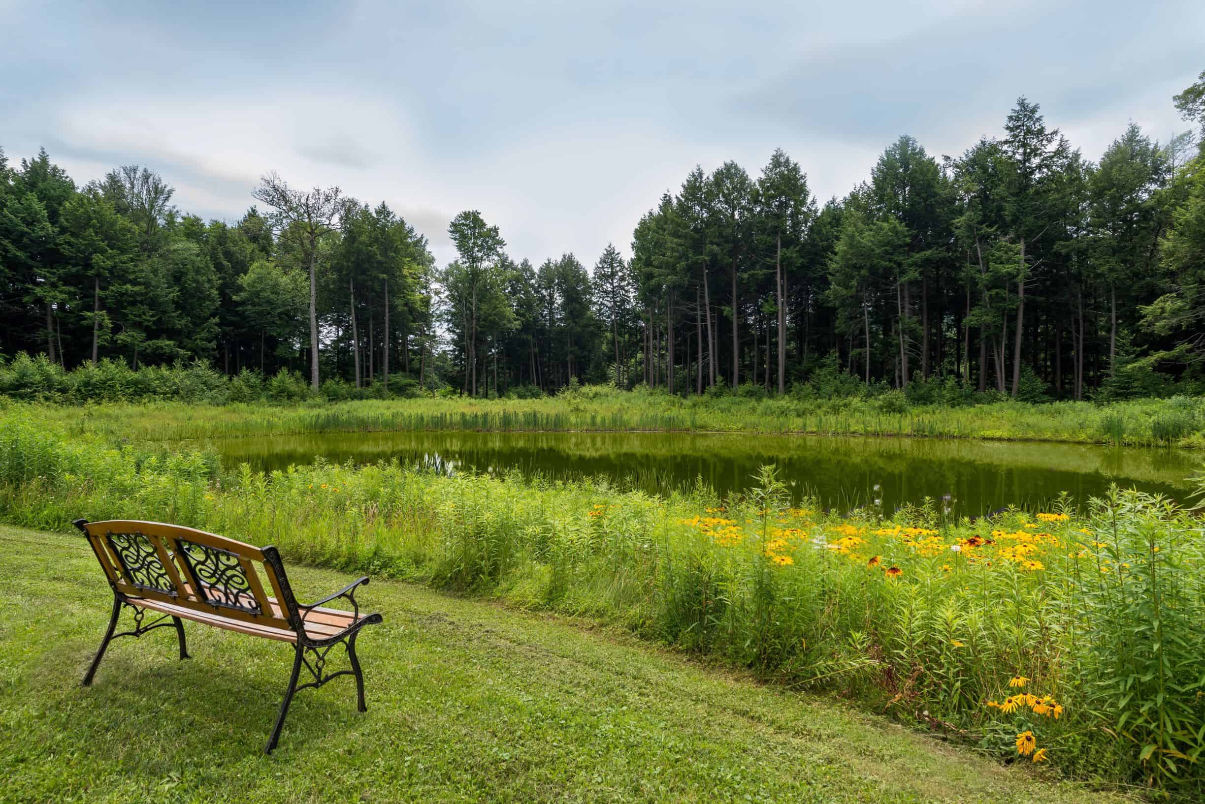 A bench overlooks a pond at a senior living community in Oneonta, New York.