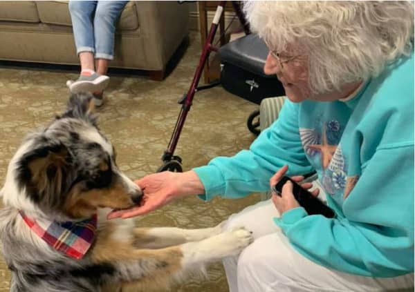 A resident smiling and petting a visiting therapy dog in Maple Grove, Minnesota.