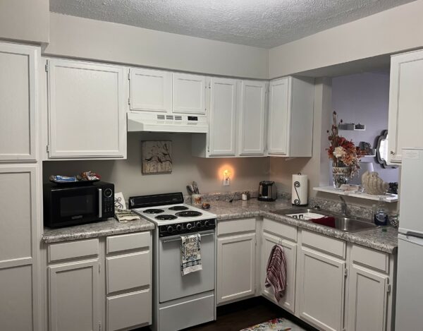 apartment kitchen with white cabinetry, a stove, microwave and sink