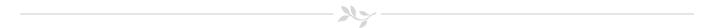 page divider with branch in center
