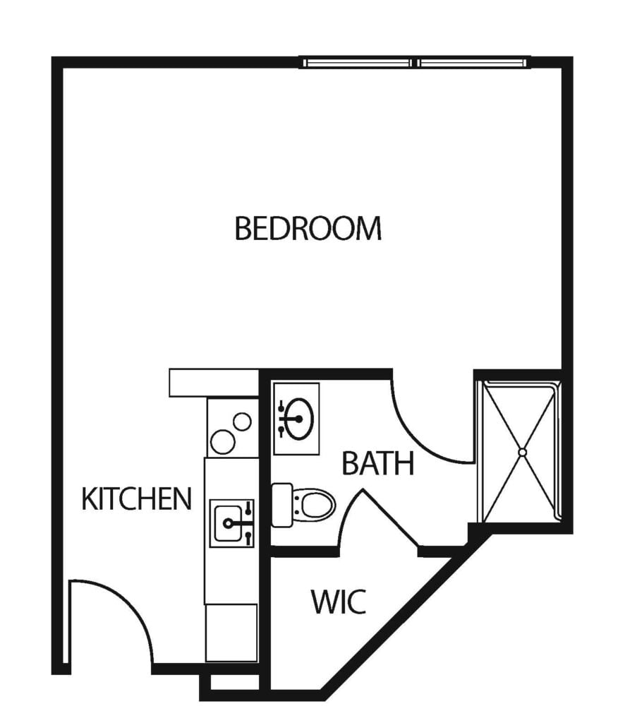 studio apartment with a bathroom, walk-in closet and kitchen