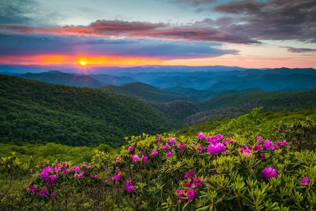 North Carolina Blue Ridge Parkway Spring Flowers Scenic Landscape south of Asheville, NC in the southern Appalachian Mountains