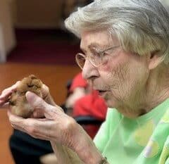 Senior woman holding a baby chick at a senior living community in Springfield, Missouri.
