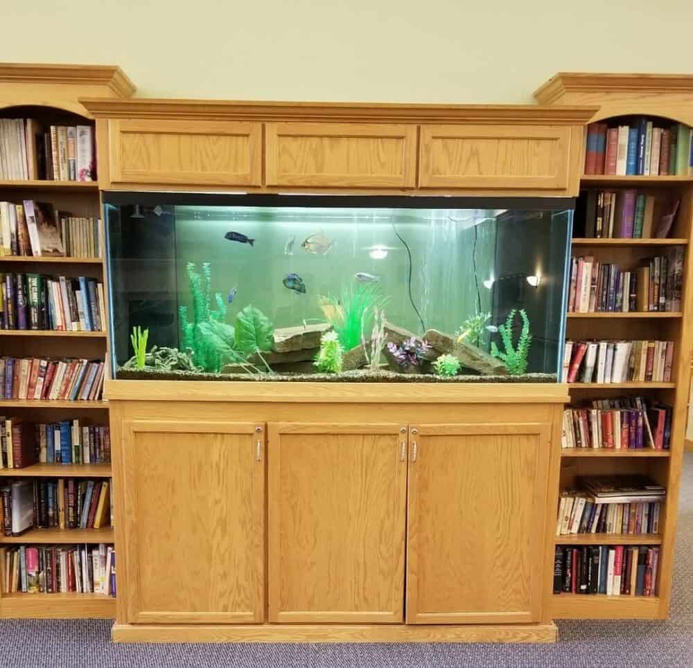 Fish tank at a senior living facility in Colby, Wisconsin.