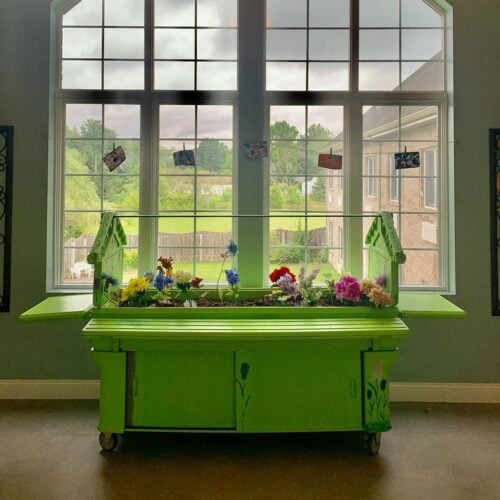 An indoor garden bed in front of a large window at a senior living community in Indianapolis, Indiana.