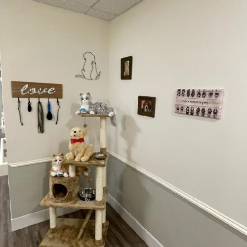 Pet display in a Life Station from Magnolia Trails program