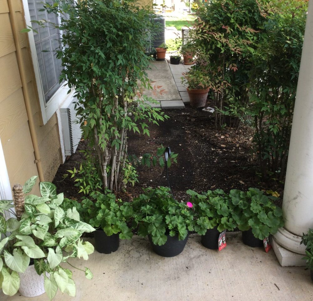 Garden area at a senior living facility in San Antonio, Texas.