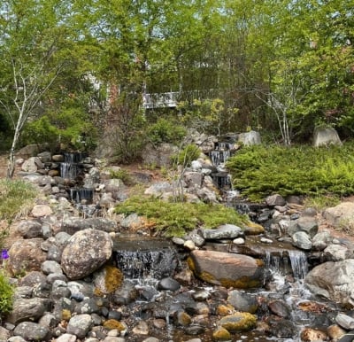 Landscaped courtyard with a waterfall outside The Wellington at Springfield