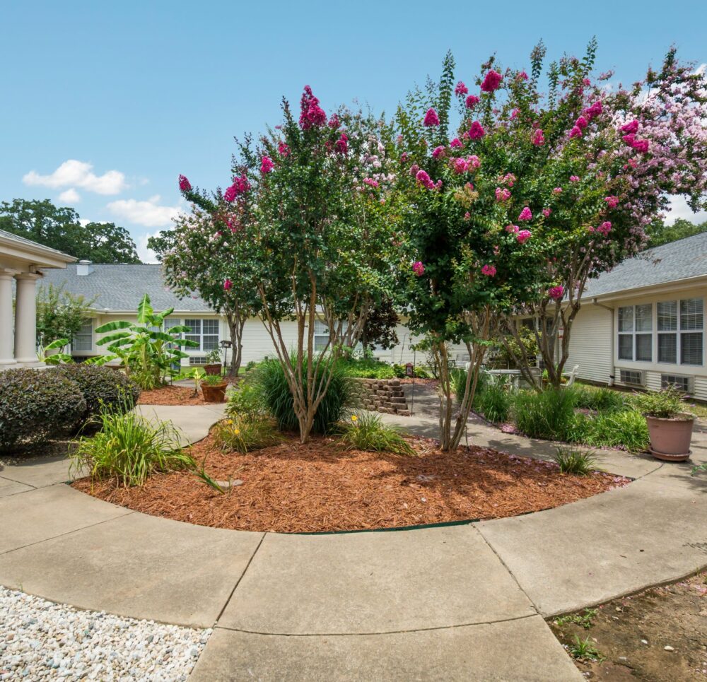 walking path and courtyard with lots of plants
