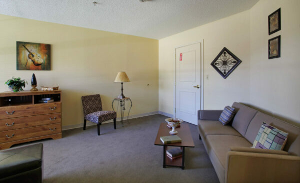 apartment living room with a couch and dresser