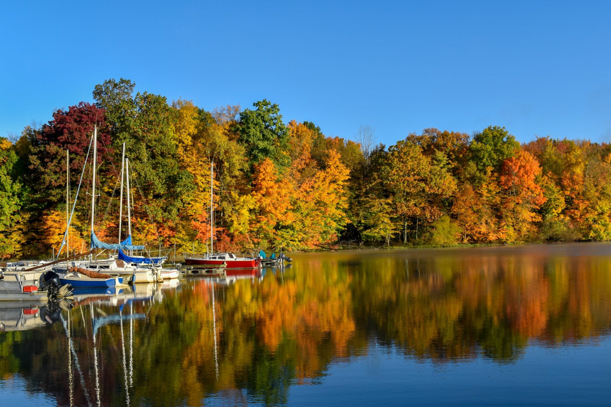 Docked boats on a lake with fall foliage reflected on still water with a cloudless blue sky at the Clear Fork Reservoir in Mansfield, Ohio