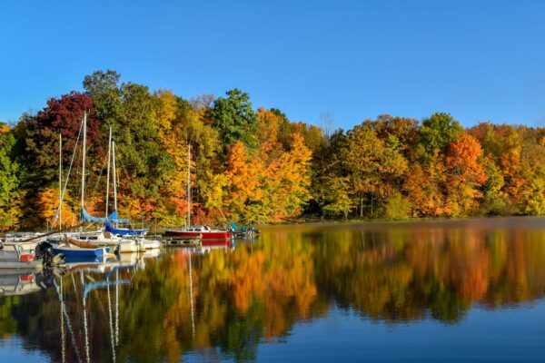 Docked boats on a lake with fall foliage reflected on still water, with a cloudless blue sky, Clear Fork Reservoir, Mansfield, Ohio