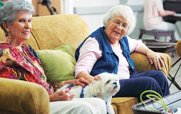 Two women pet a small, white dog on a couch in a Sonida Senior Living assisted and independent lining community lounge.