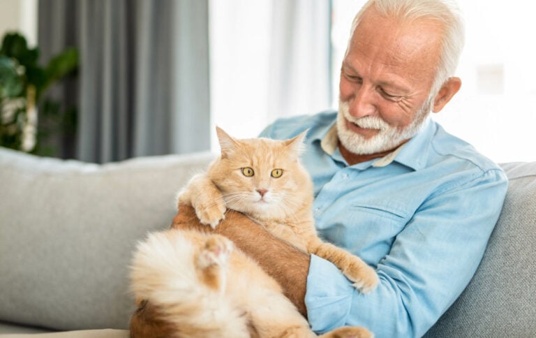 Close-up of a happy senior man petting his tan-colored cat.