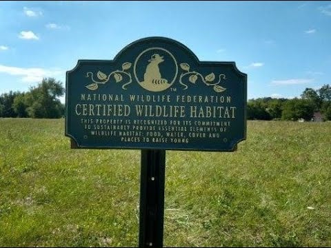 Wildlife Habitat at Georgetowne Place a Sonida Senior Living Community