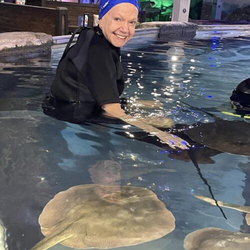 A senior woman playing with stingrays