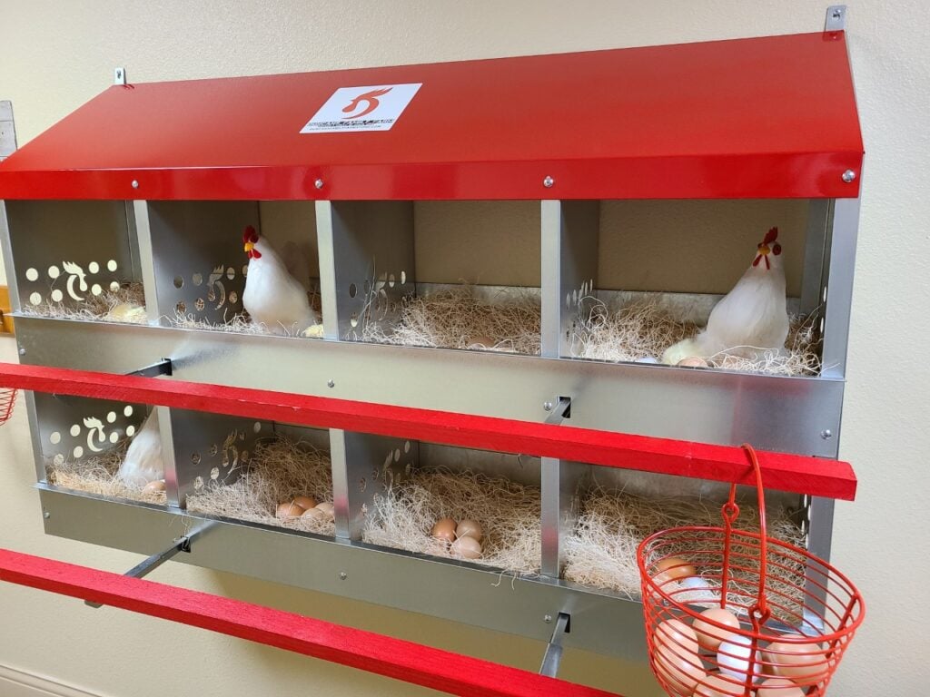 Fake Chickens in a Life Station from Magnolia Trails program