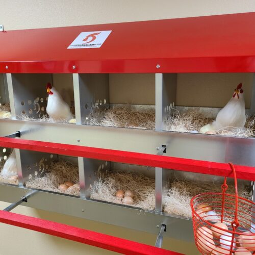 Fake Chickens in a Life Station from Magnolia Trails program