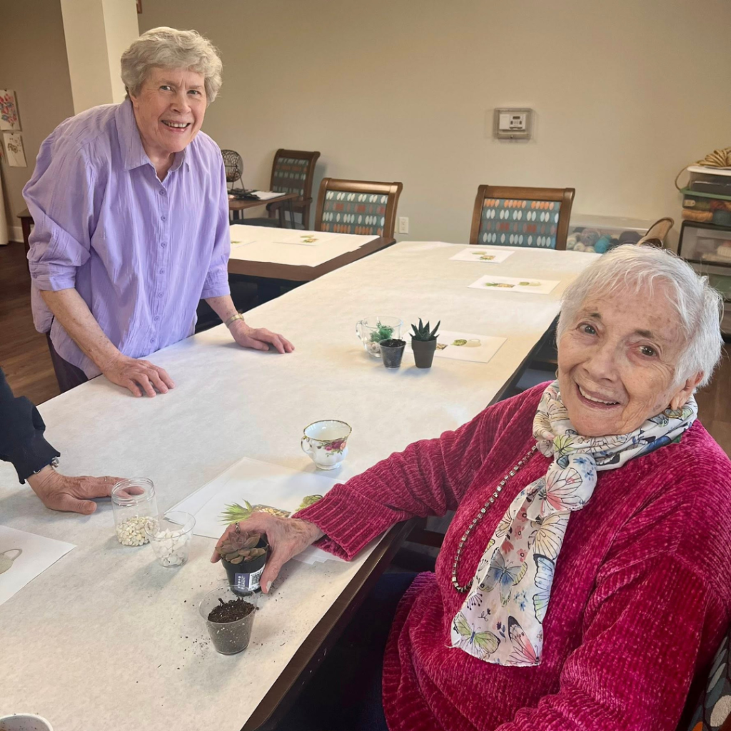 Residents plant succulents