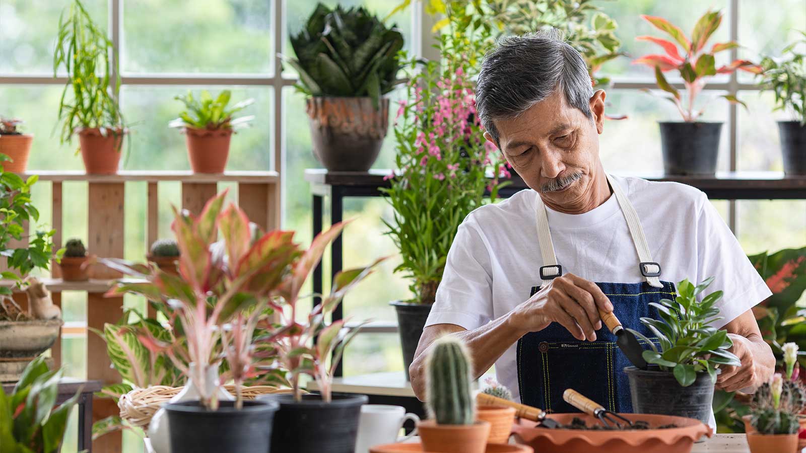 Elder senior man gardening