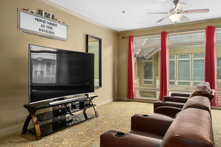 The Pavilion at Great Hills Interior Theater 06